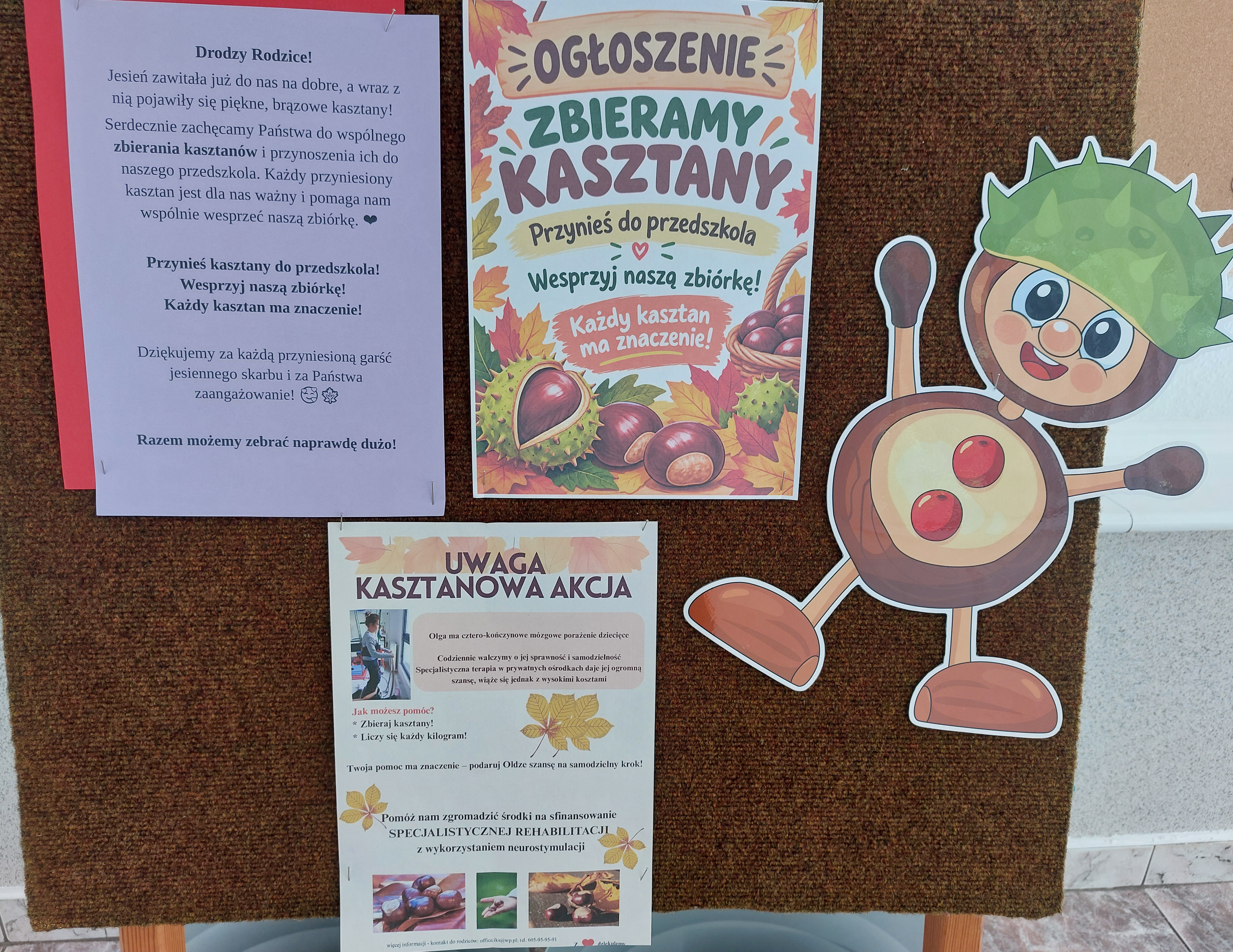 Kasztanowa Akcja